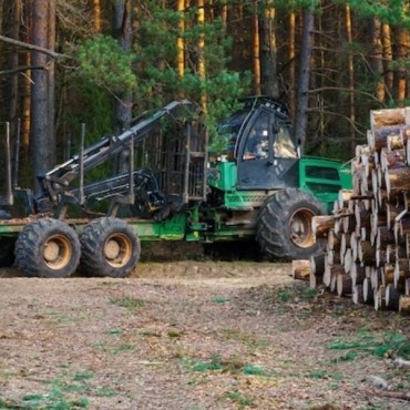Forwarder em São Paulo